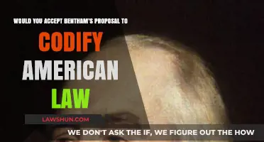 Codifying American Law: Bentham's Proposal Revisited